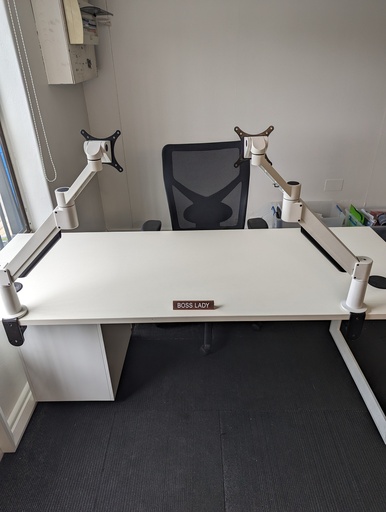 Ergonomic Work Desk with Dual Monitor Arms